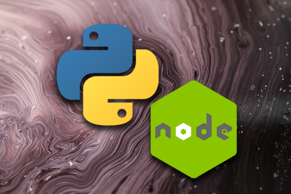 Best Hosting for Developers: Python, Node.js, and ASP.NET Hosting