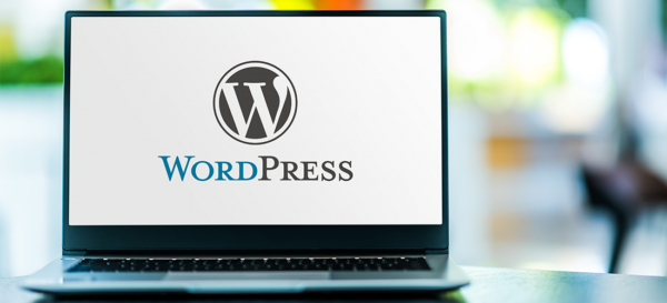 The Ultimate Guide to WordPress Hosting